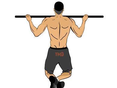 什么样的背部,才算是完美的背部肌肉?