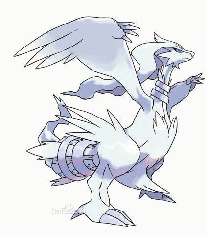 或雷希拉姆【白龙】