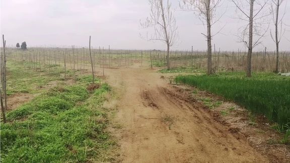 [图]乡村小路风景