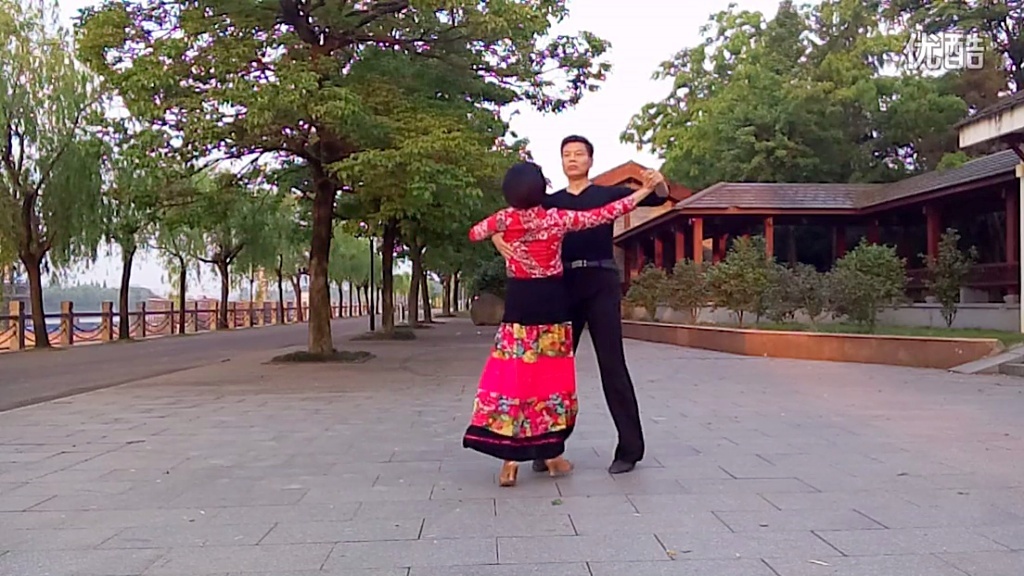 双人舞 交谊舞 舞厅舞 自由步1(二步)《玫瑰花开》金华清风公园