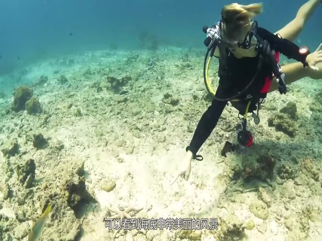 360影视 影视搜索