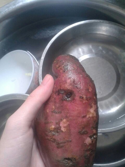 有黑斑点的红薯还能不能吃?