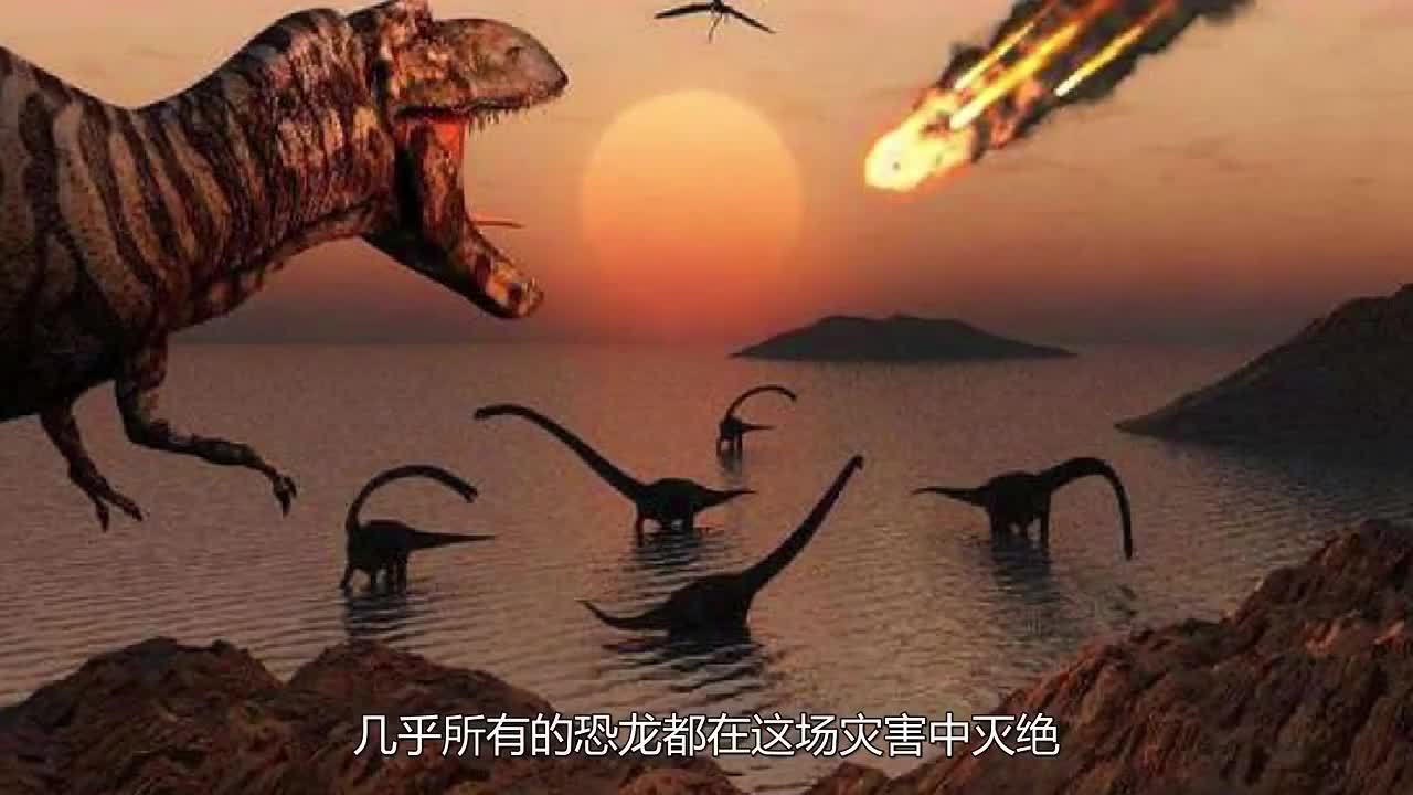 360影视-影视搜索