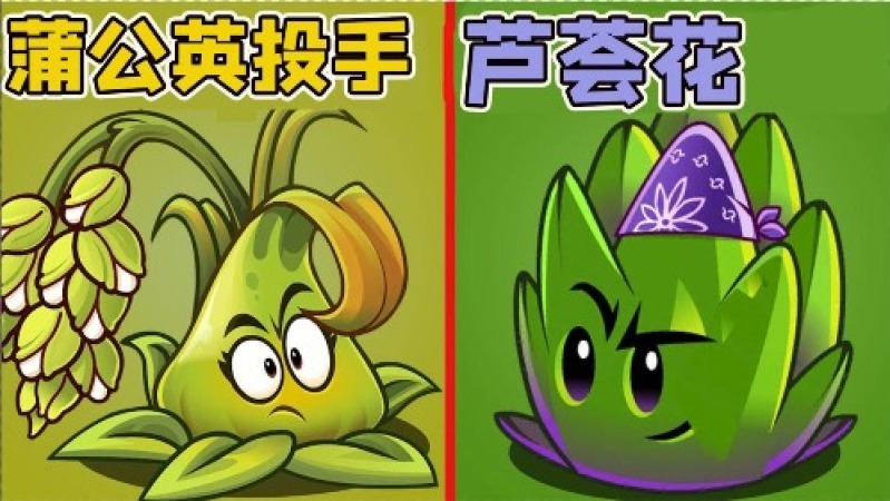 植物大战僵尸2: 植物争霸赛,芦荟花居然可以来回切换攻击,太强了吧