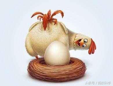为什么鸡可以天天生蛋?