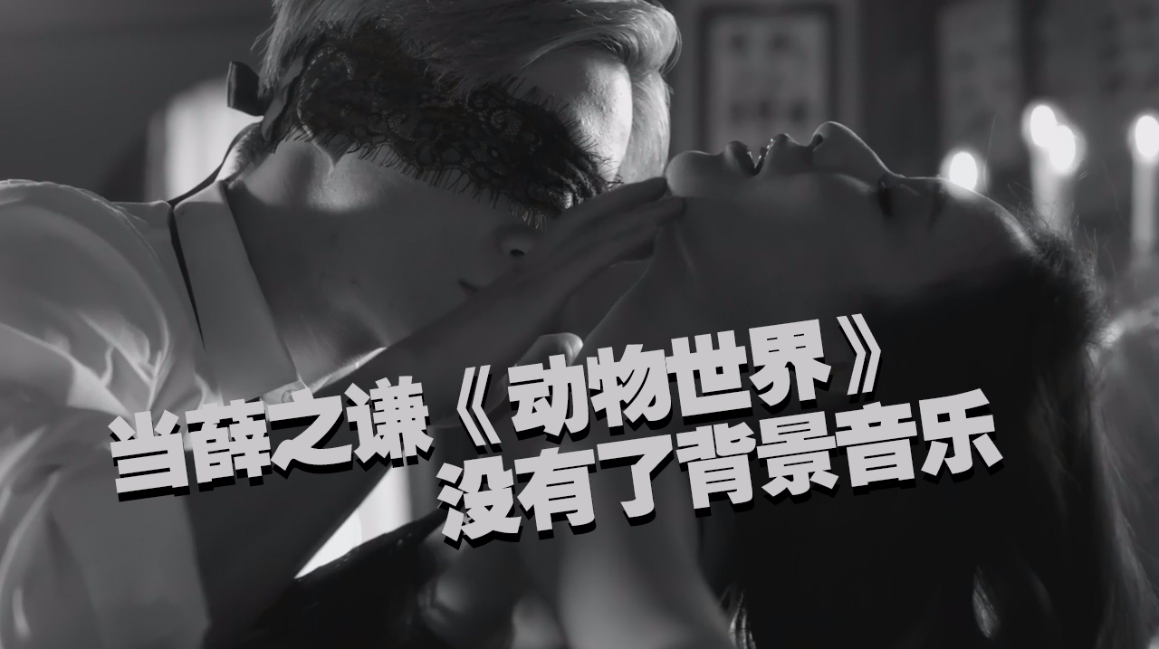 当 b>薛之谦mv /b>《 b>动物世界 /b>》没有了背景音乐