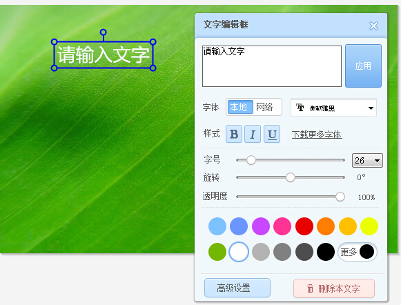 4,这里单击【输入文字】选项,弹出文字编辑对话框.