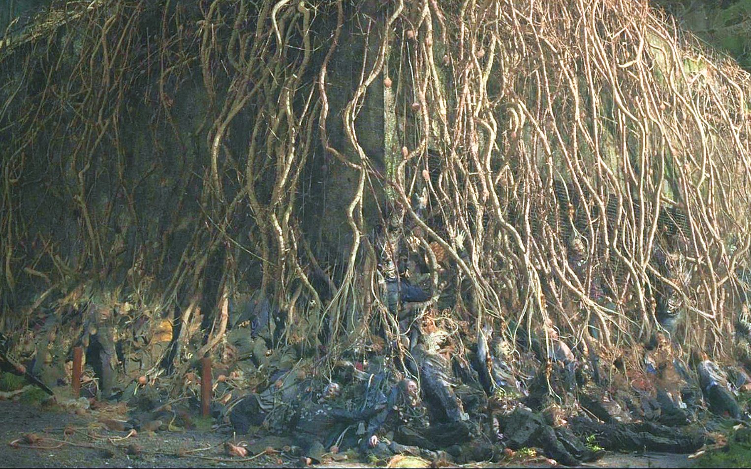  b>末日灾难电影 /b>:丧尸脑袋长出植物,集合成参天大树,成熟后人类就