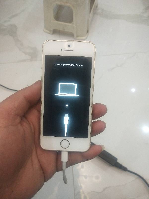 苹果se进入这个刷机模式是什么意思?