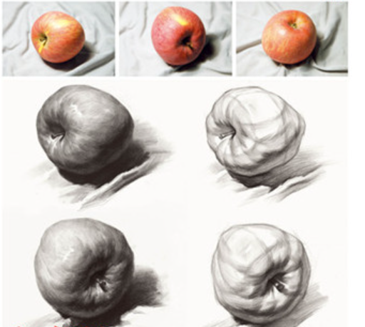 有多个角度的苹果素描图片吗