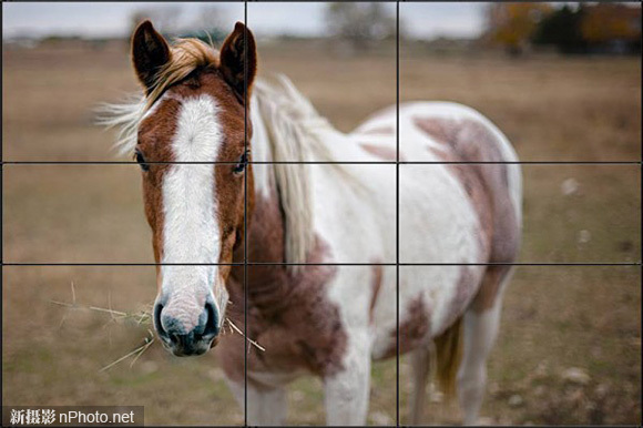 相机中的斐波那契螺旋线什么作用?