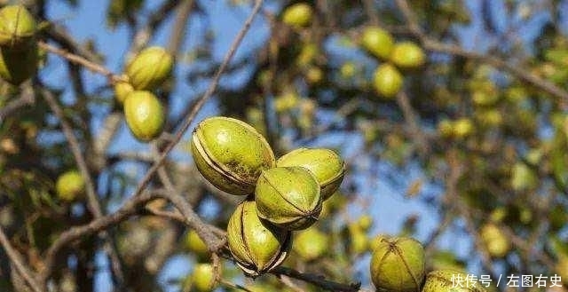 现代农业发展重点是发展