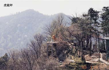 毛泽东祖坟的风水宝地图片,毛泽东祖坟风水