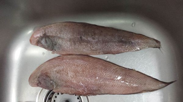 求这个鱼叫什么名字.