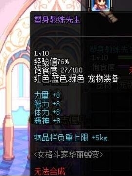 《DNF》塑身教练先生宠物怎么获得