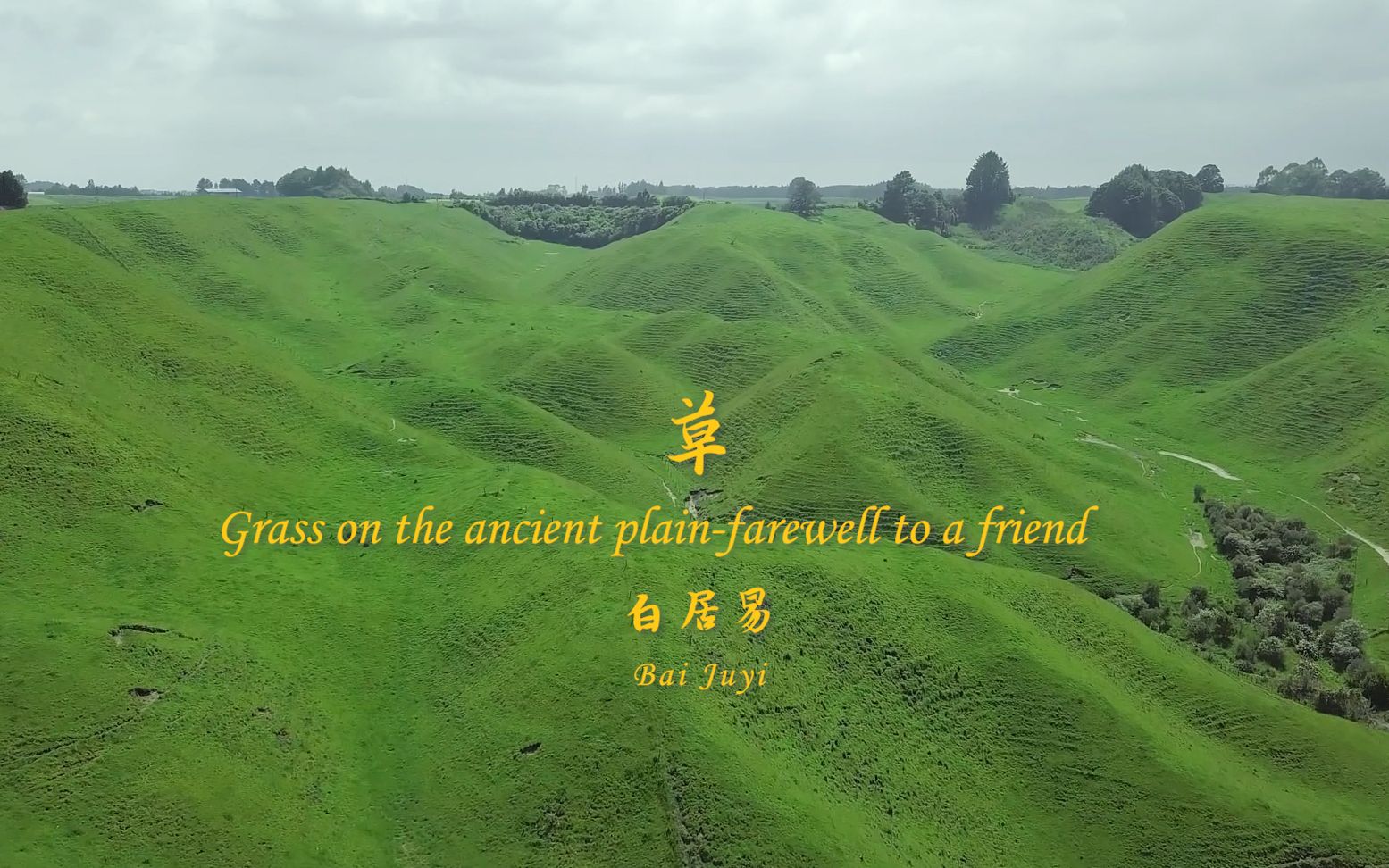 [图]唐诗三百首 白居易 赋得古原草送别 Grass on the ancient plain-farewell to a friend 中英文朗读版 许渊冲译