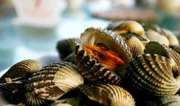 牡蛎,蛏,花蛤,泥蚶怎么读?