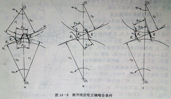 齿轮啮合画哪5根线图片