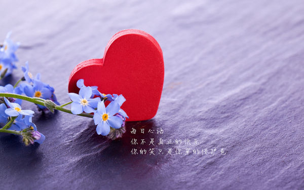 急求伤感文字控图片