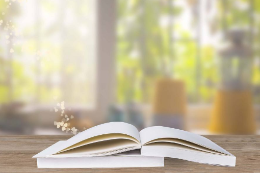 girlfriends是什么意思