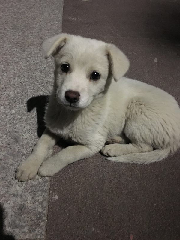 华硕笔记本飞行堡垒i7