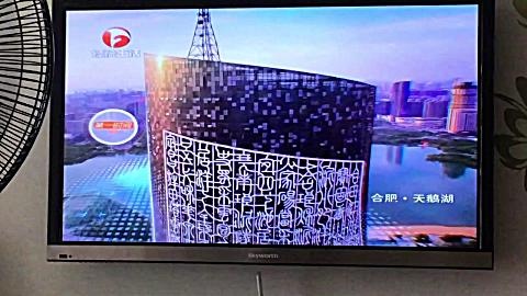 安徽经济生活频道 频道包装 版权页 id(天鹅湖)