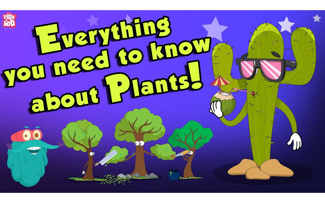 [图]Everything You Need To Know About Plants _ Source Of Oxygen | The Dr Binocs Show