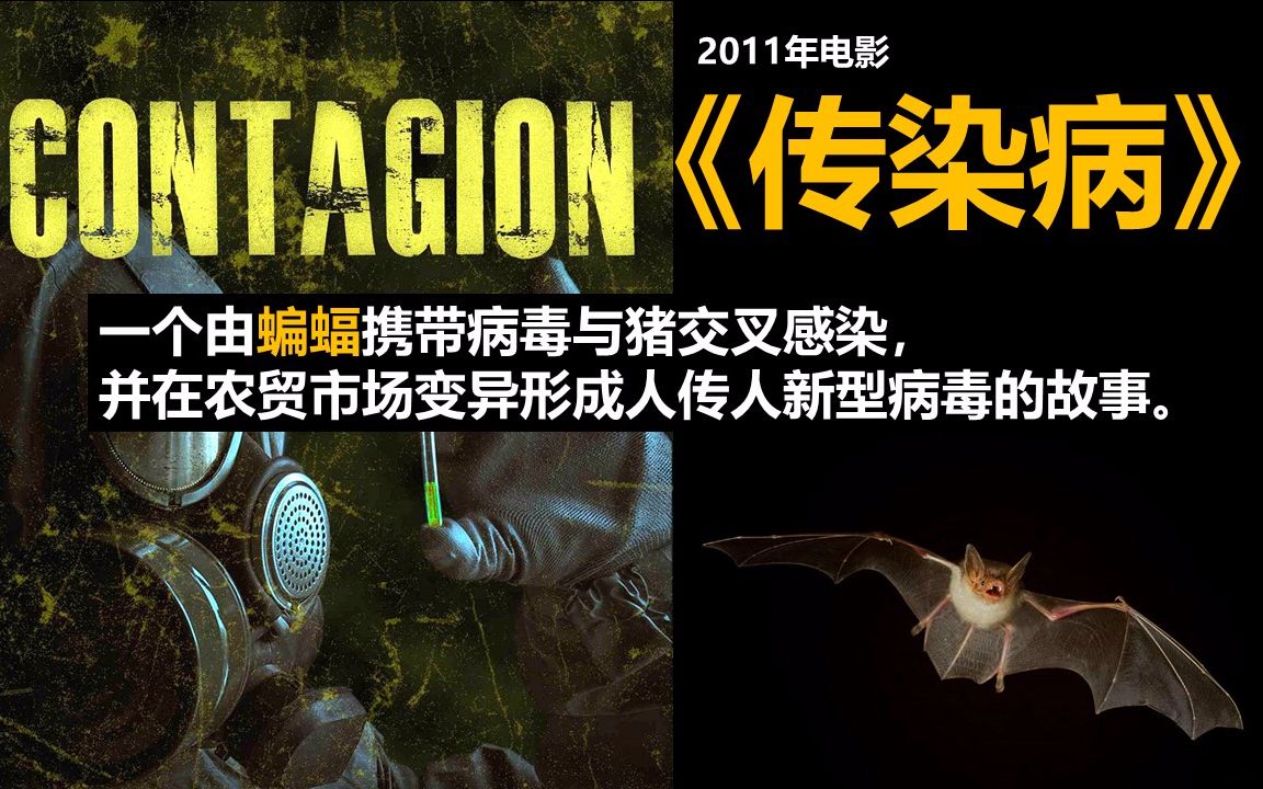2011年电影《传染病》剪辑:一个由蝙蝠引发的新型病毒故事