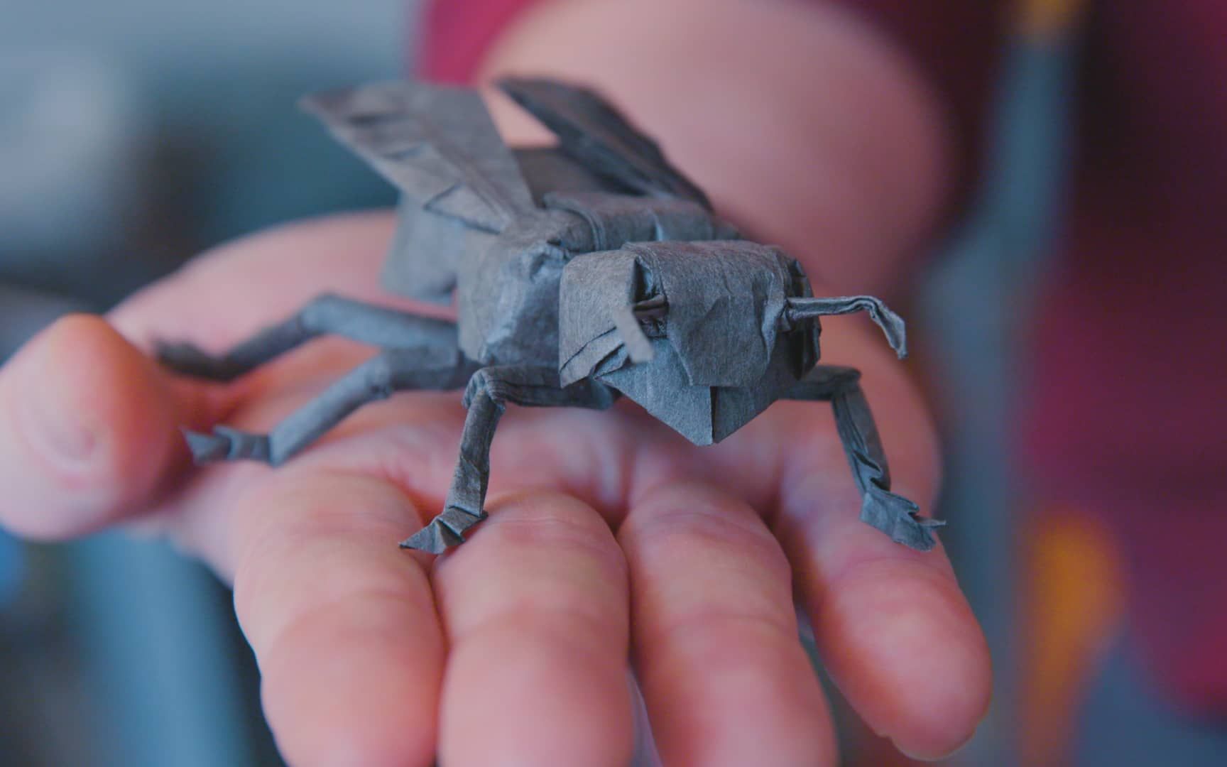 360影视-影视搜索