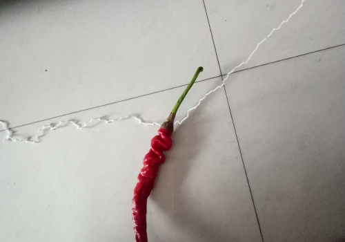 红辣椒怎么串