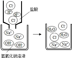 如图是盐酸滴入氢氧化钠溶液中发生中和反应的图示,回答下列问题(1)