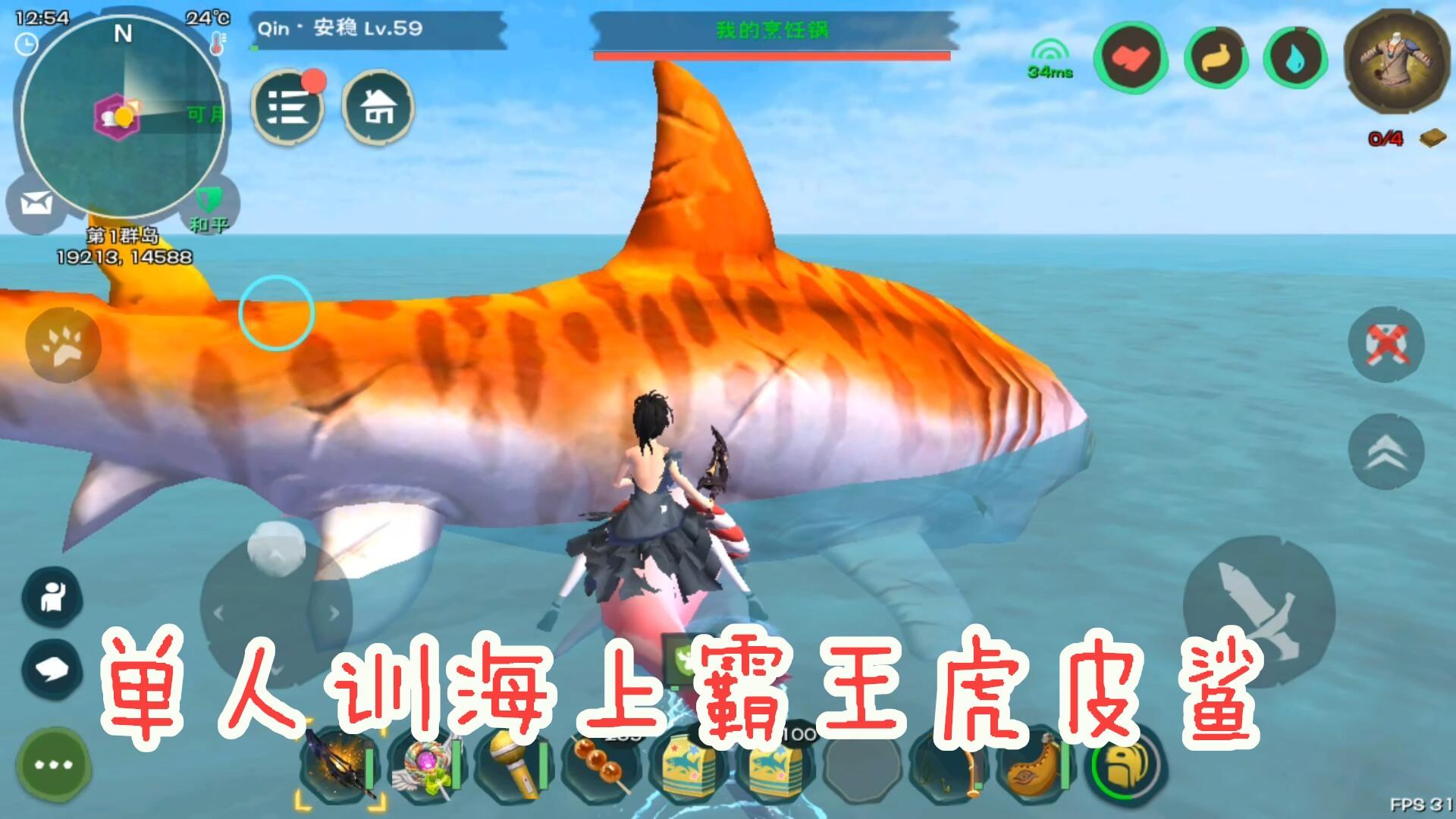 单人训海上霸王虎皮鲨创造与魔法安稳解说