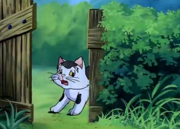 白色猫咪动画片图片