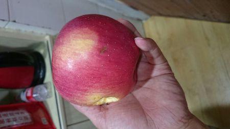 被老鼠咬了一口的苹果还能吃吗?