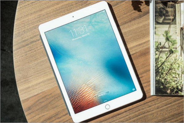 ipad a2197是ipad (第 7 代)平板的型號.