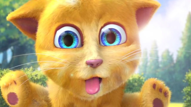 会说话的金杰猫2 超可爱的橘黄色小猫 快来领养它吧