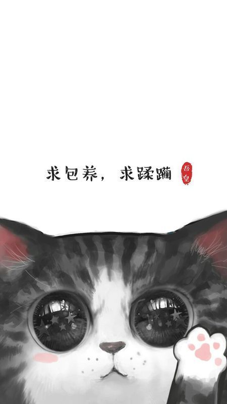 我的华为6plus照相机打不开,说有第三方运用打