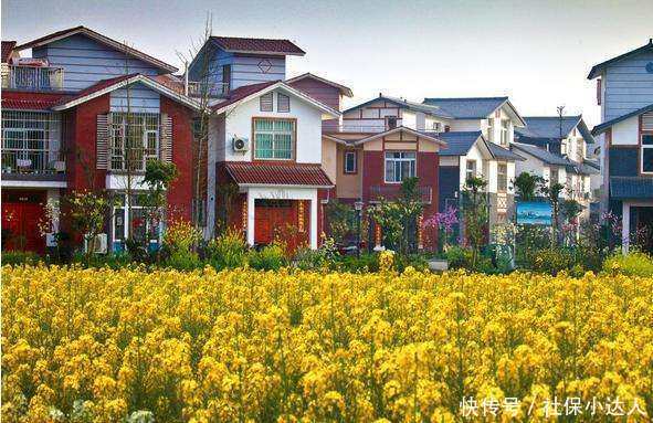 城乡居民社保标准