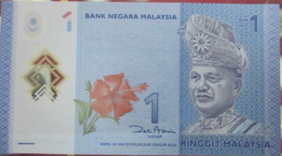 马来西亚钱币5000图 马来西亚的钱rm5000是台湾新台币的多少 集邮网
