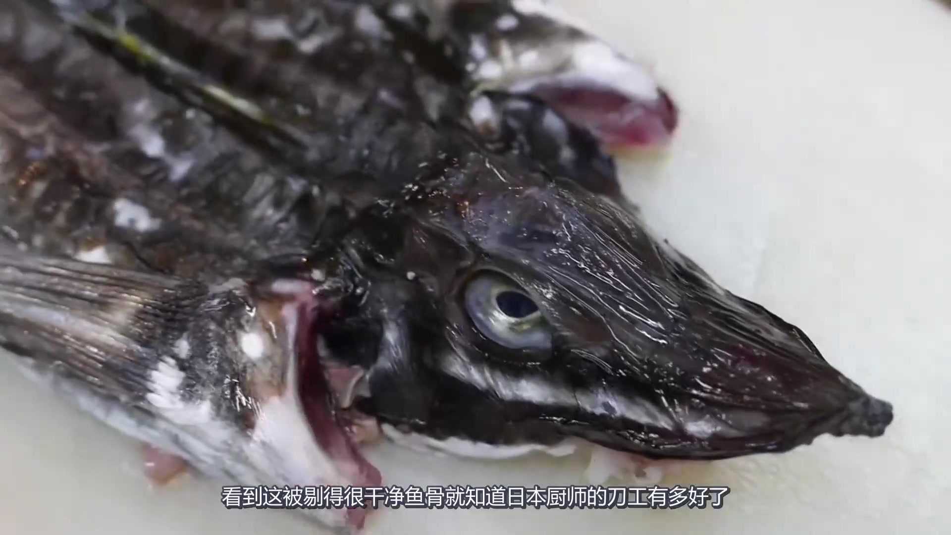360影视 影视搜索