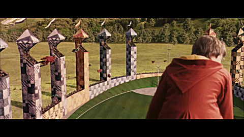 魁地奇比赛的开幕仪式,最年轻的搜捕手上场