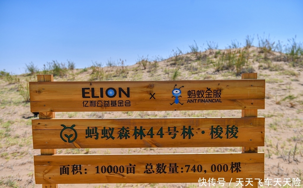 蚂蚁森林获联合国获那项奖