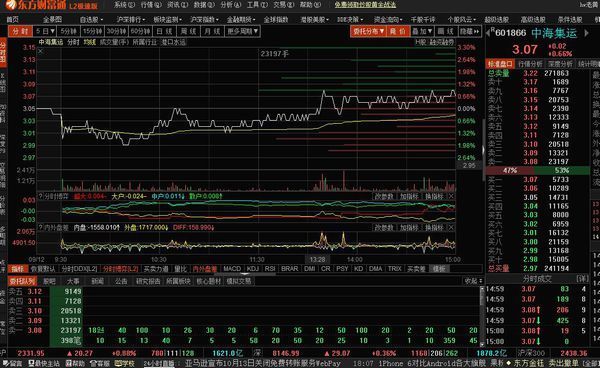 东方财富通l2极速版分时图上有总买量和总卖量吗?