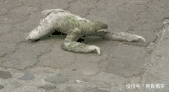 喝酒要不就喝多要不就不喝