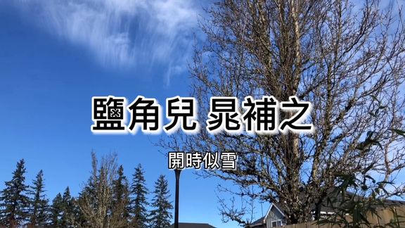 [图]粤语朗读宋词三百首,晁补之《盐角儿.开时似雪》