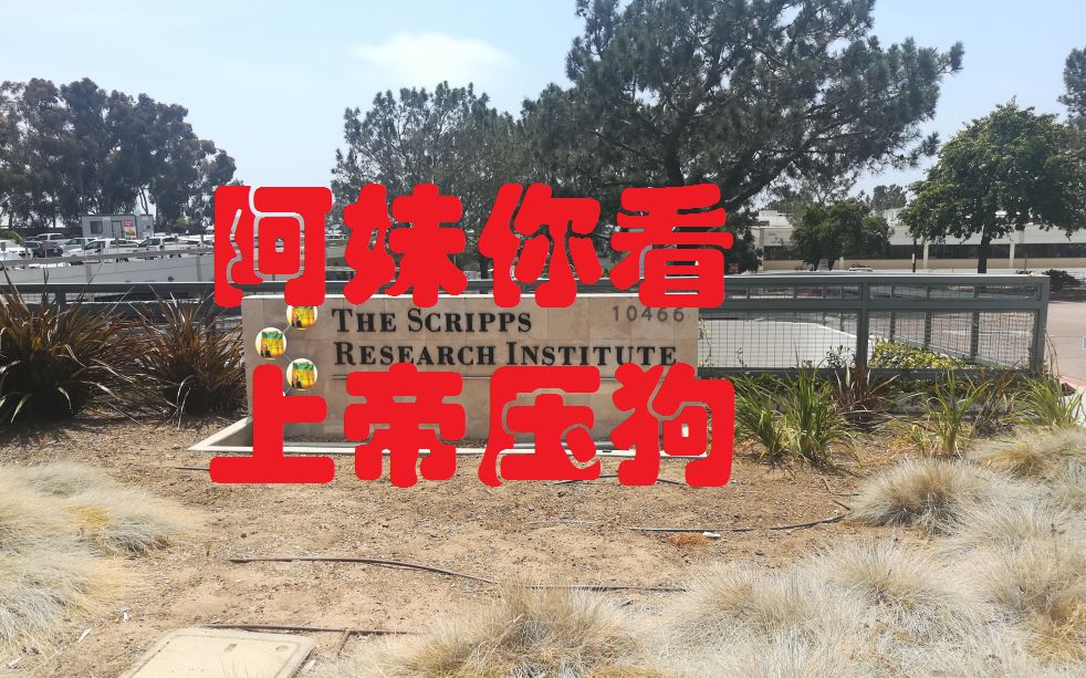 【实拍】" 金坷垃之乡"——圣地亚哥