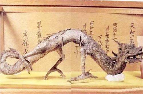 日本瑞龙寺存放的真龙标本和河童标本到底是不是真的?
