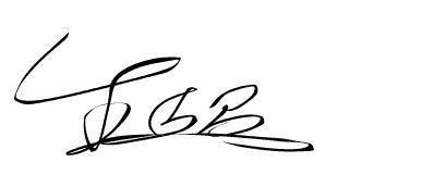 艺术签名怎么写,最好多来几个.非常感谢