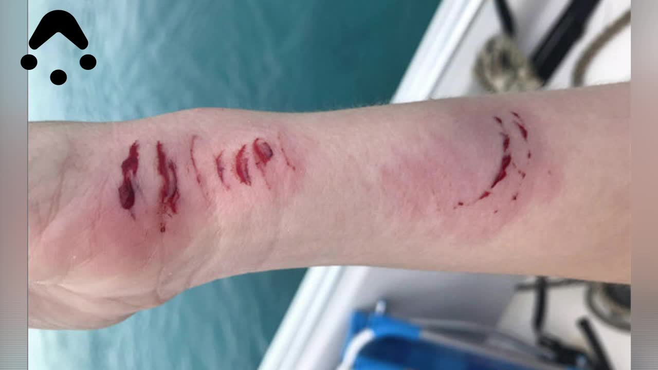 美女加勒比海畅泳  护士鲨凶性大发追着咬!-奇闻异事-娱乐新奇秀