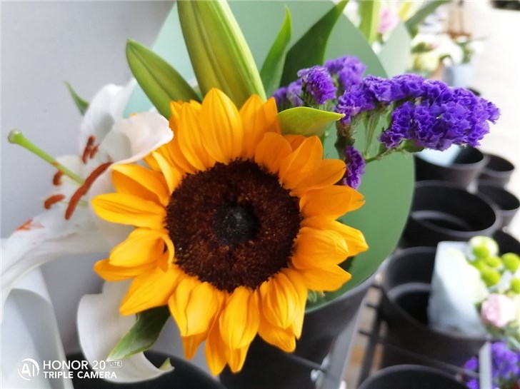 青春版荣耀20的手机